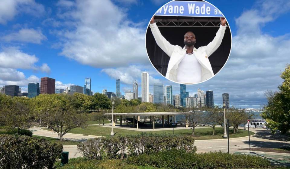 A Chicago suburb just renamed an entire street after NBA icon Dwyane Wade