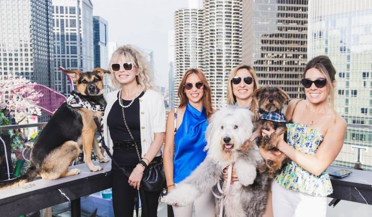 PAWS Chicago and LondonHouse are teaming up to throw the biggest puppy party of the summer this month