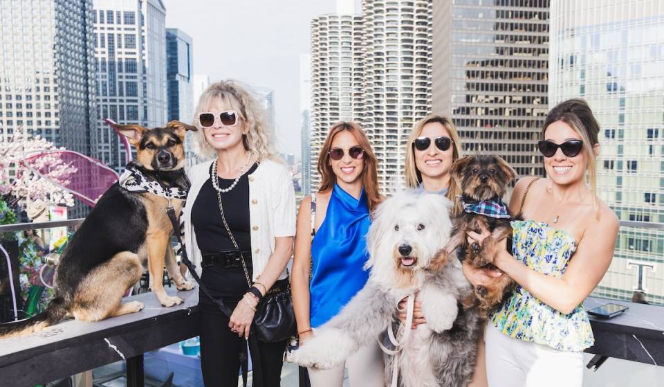 PAWS Chicago y LondonHouse se han unido para organizar este mes la mayor fiesta canina del verano