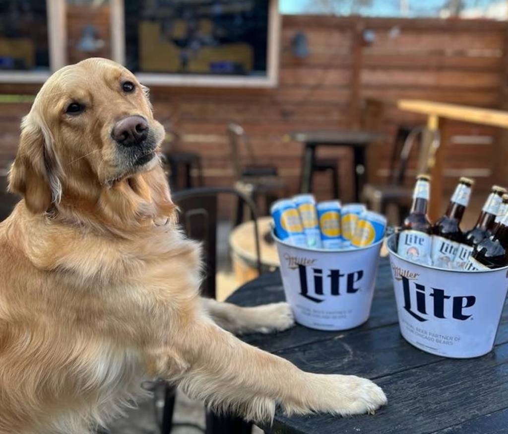 La terraza de Cody