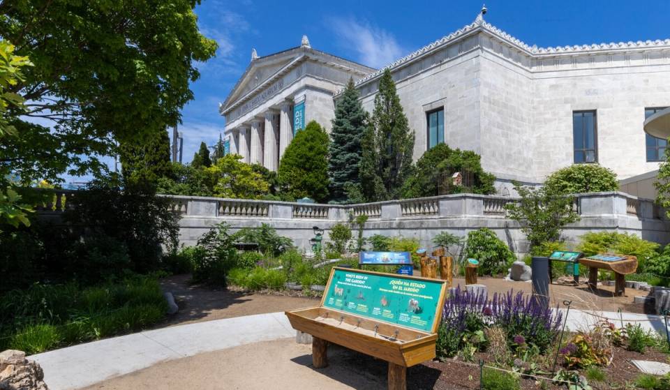 Aquí tienes un adelanto del nuevo jardín natural al aire libre del Acuario Shedd