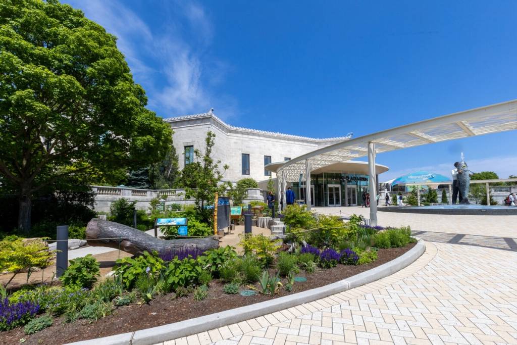 Shedd Nature Exploration Garden