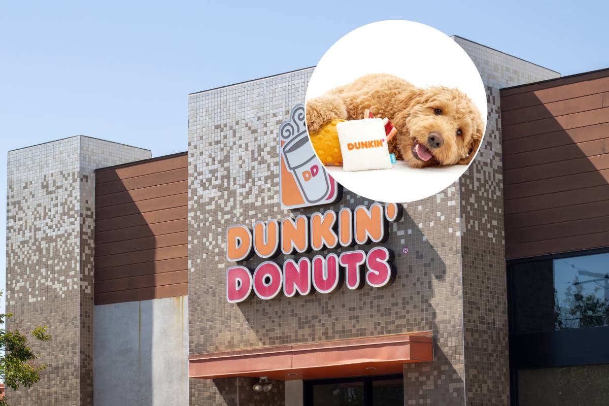 Dunkin’ is launching its first ‘doggie drive-thru’ in Chicagoland with free BARK...