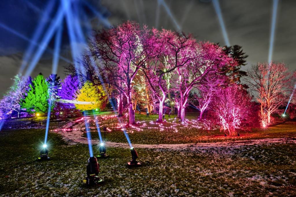 Morton Arboretum - Illumination