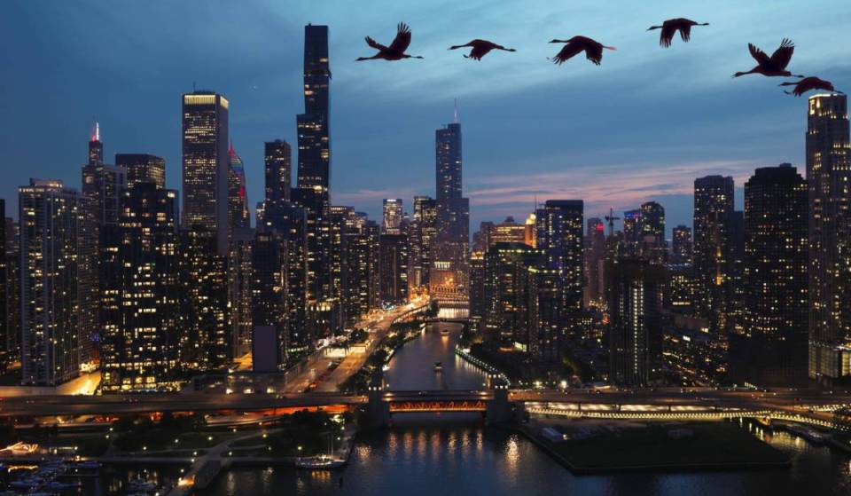 Chicago’s ‘Lights Out’ rule implemented after 11 PM as a bird migration alert takes effect