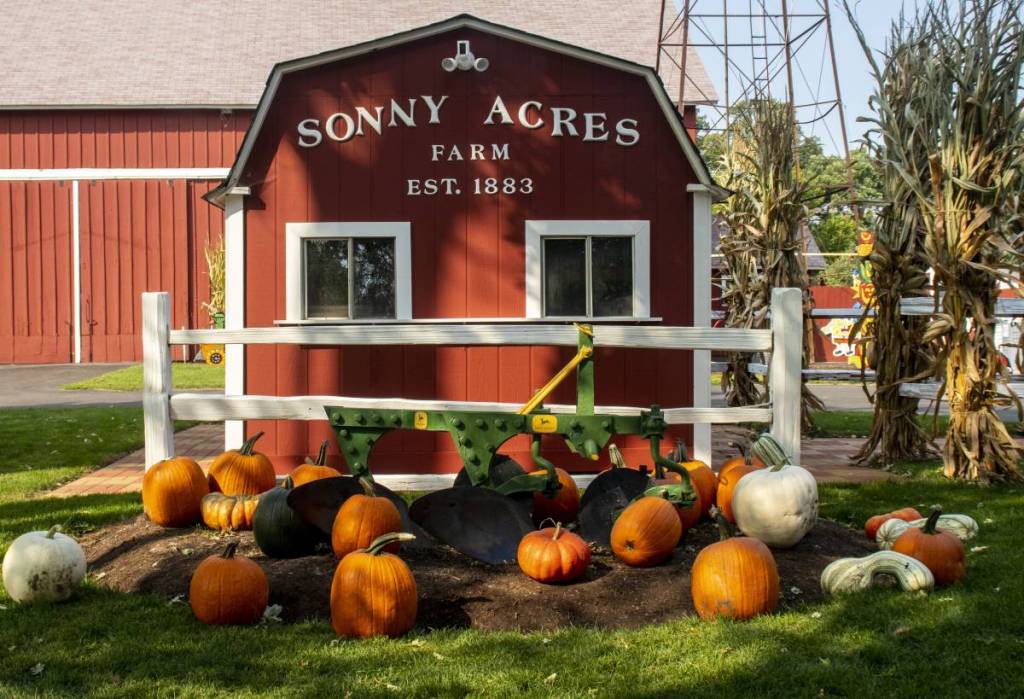 Just outside Chicago, this massive fall festival returns—featuring free weekday entry, a haunted hayride, and a full bar with spiked cider
