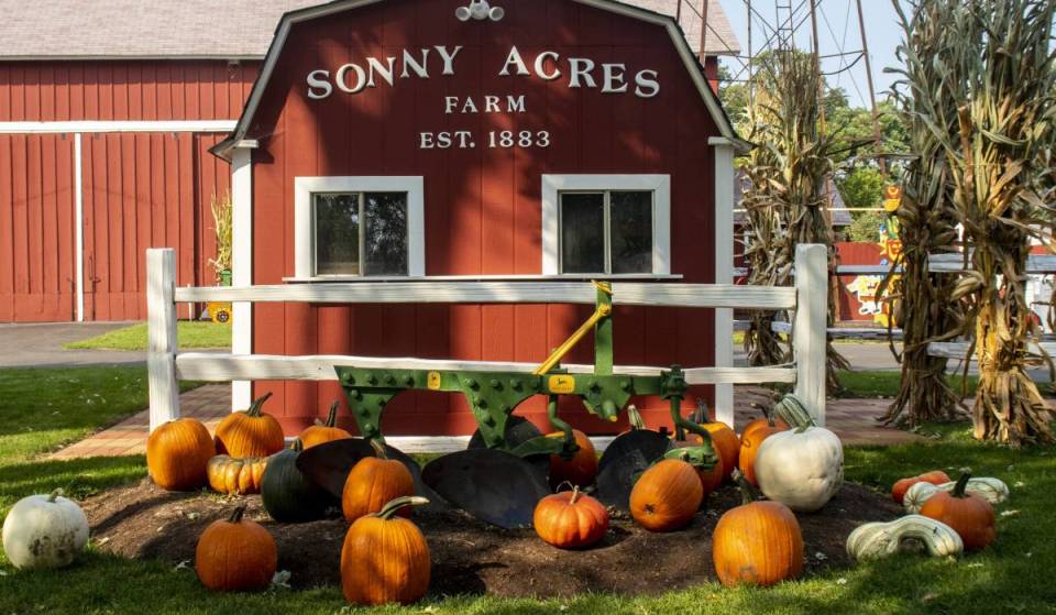 Just outside Chicago, this massive fall festival returns—featuring free weekday entry, a haunted hayride, and a full bar with spiked cider