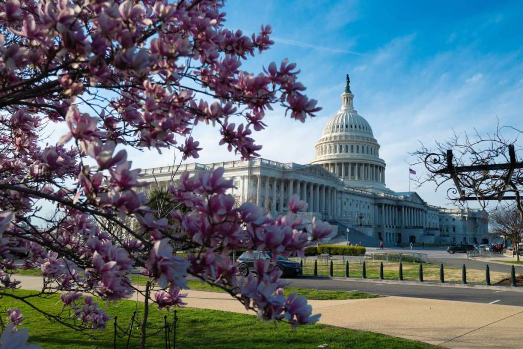 DC