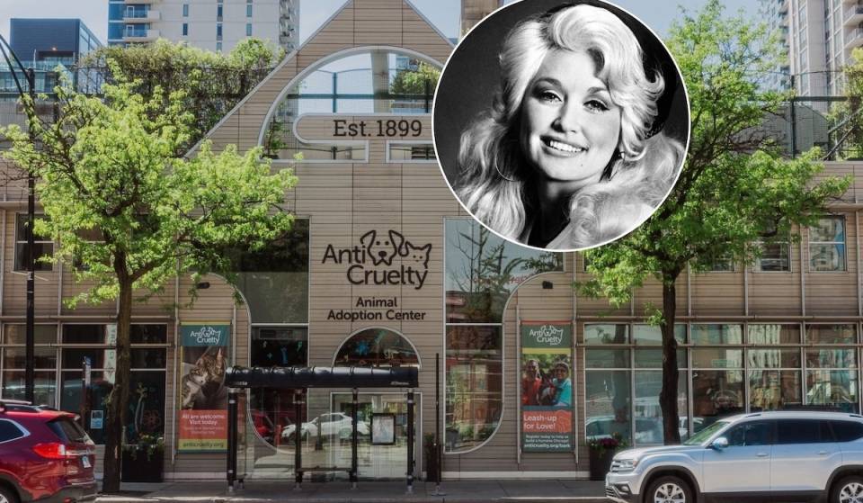 This Chicago animal shelter is honoring Dolly Parton with a “9 to 5” adoption event