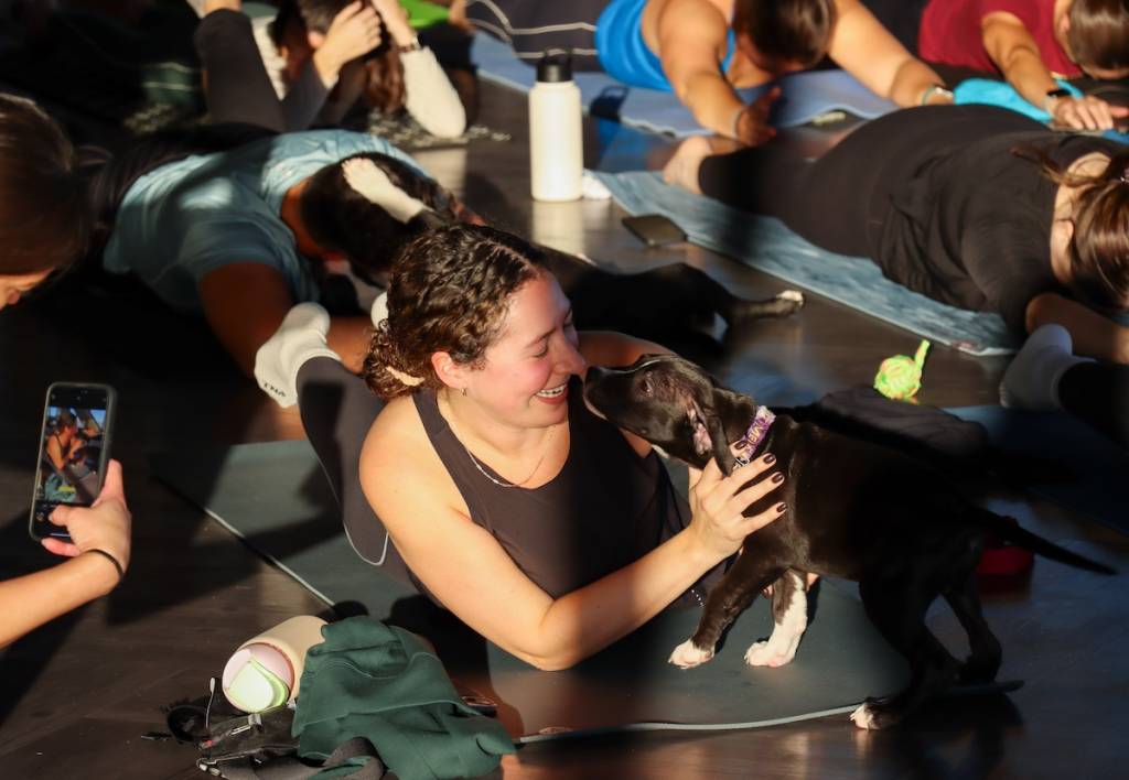 Puppy Yoga at 360 Chicago