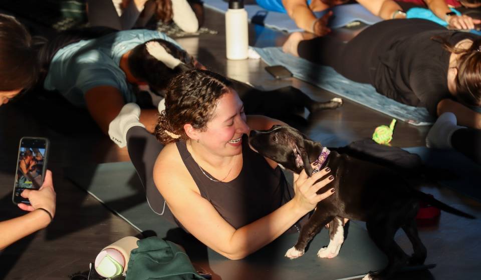 360 Chicago is hosting an adoptable puppy yoga event next month