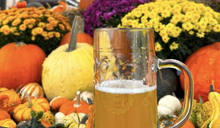 Un Festival de la Cosecha de otoño llega a este centro comercial de la zona de Chicago, a menos de una hora del centro de la ciudad
