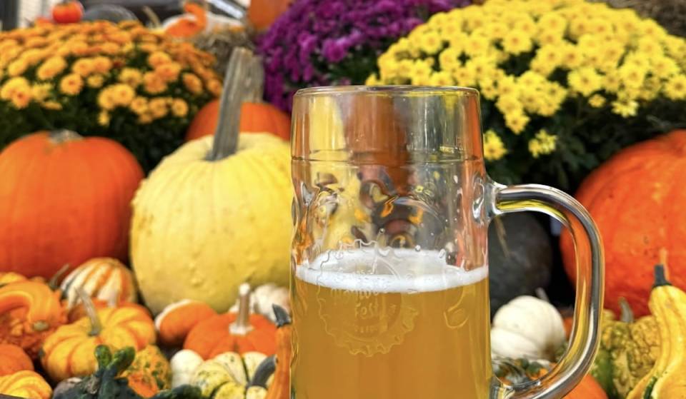 A fall Harvest Festival is coming to this Chicago-area mall—less than 1 hour from downtown