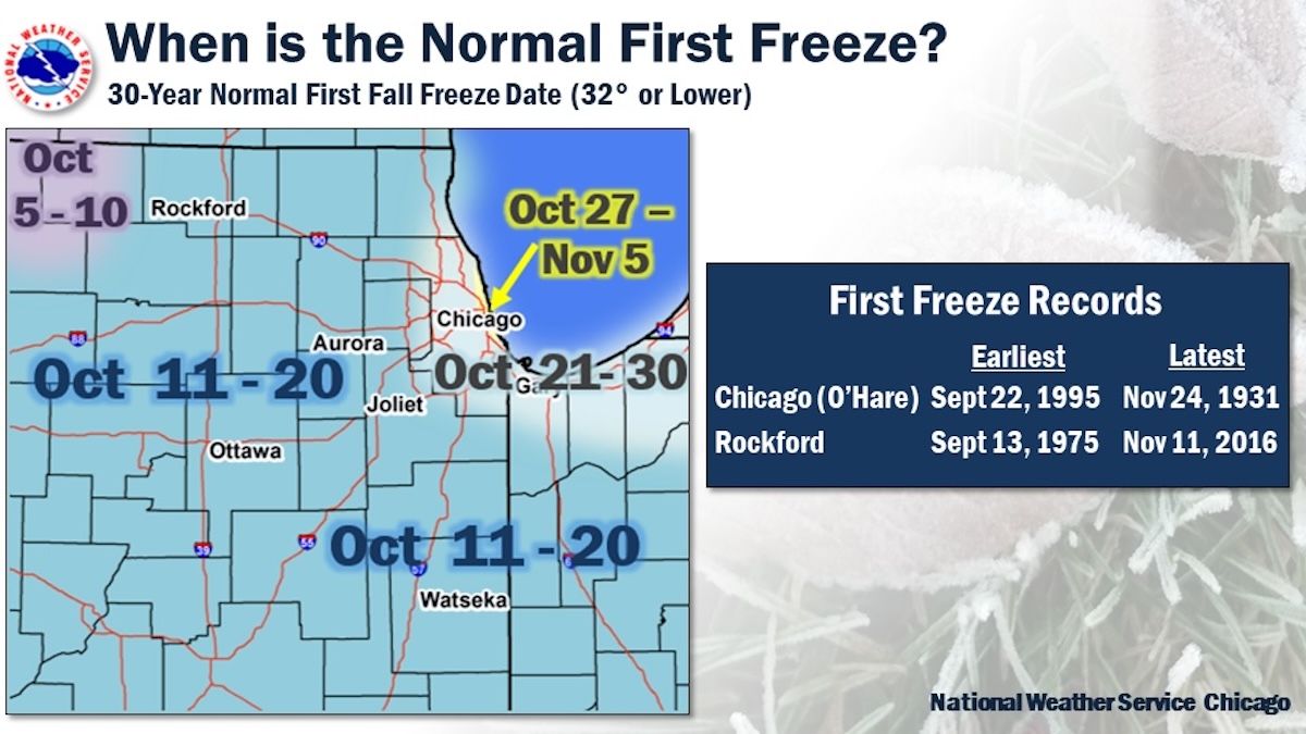Datos sobre la primera helada en la región de Chicago