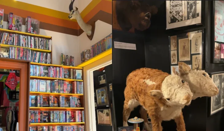 Chicago’s $25 true-crime museum hides the world’s largest John Wayne Gacy archive behind a Milwaukee Avenue horror shop