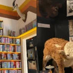 Museo Graveface: recorrido en vídeo por los crímenes reales ocultos de Chicago