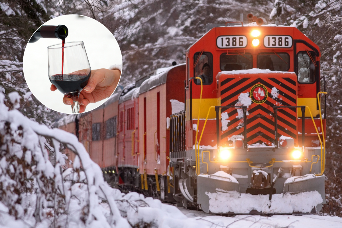 Theres a holiday wine train in Wisconsin, and its worth the 6-hour drive from Chicago