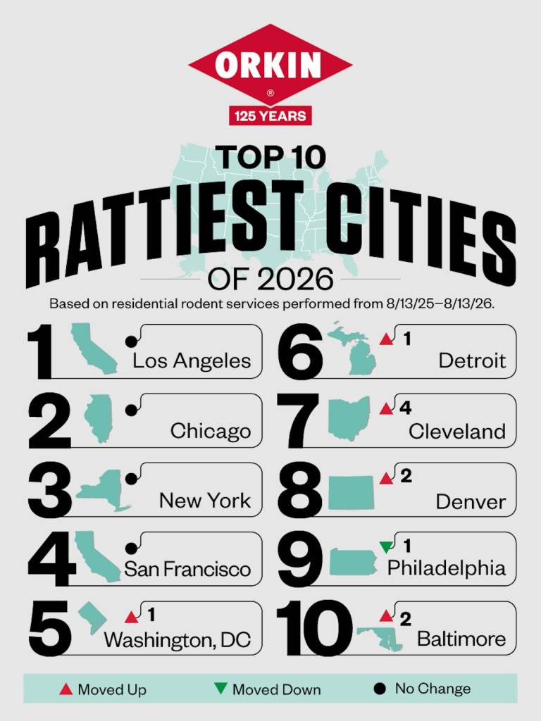 Las ciudades con más ratas de Estados Unidos en 2026 - Orkin