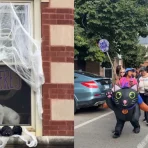 Chicago Cat Tour video shows massive crowds in Bowmanville