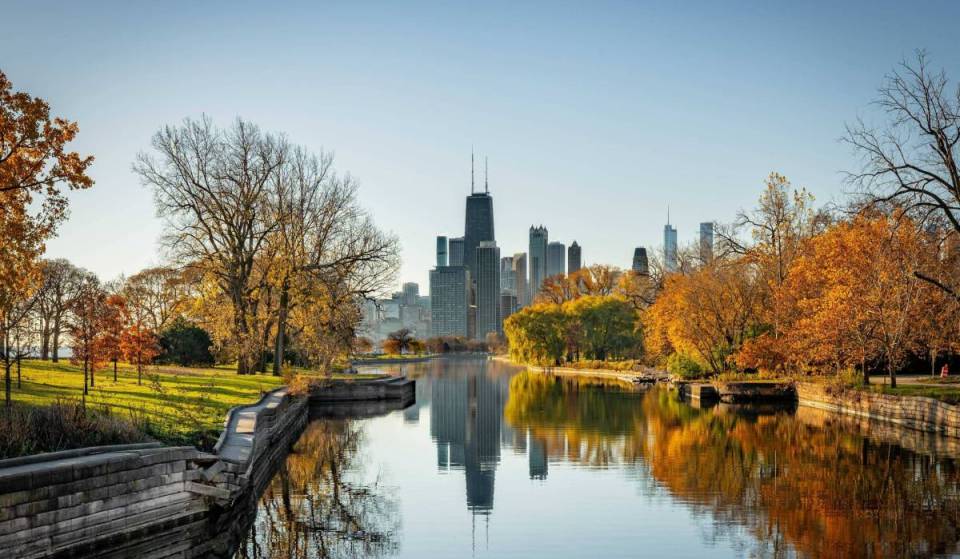 The best things to do in Chicago this November