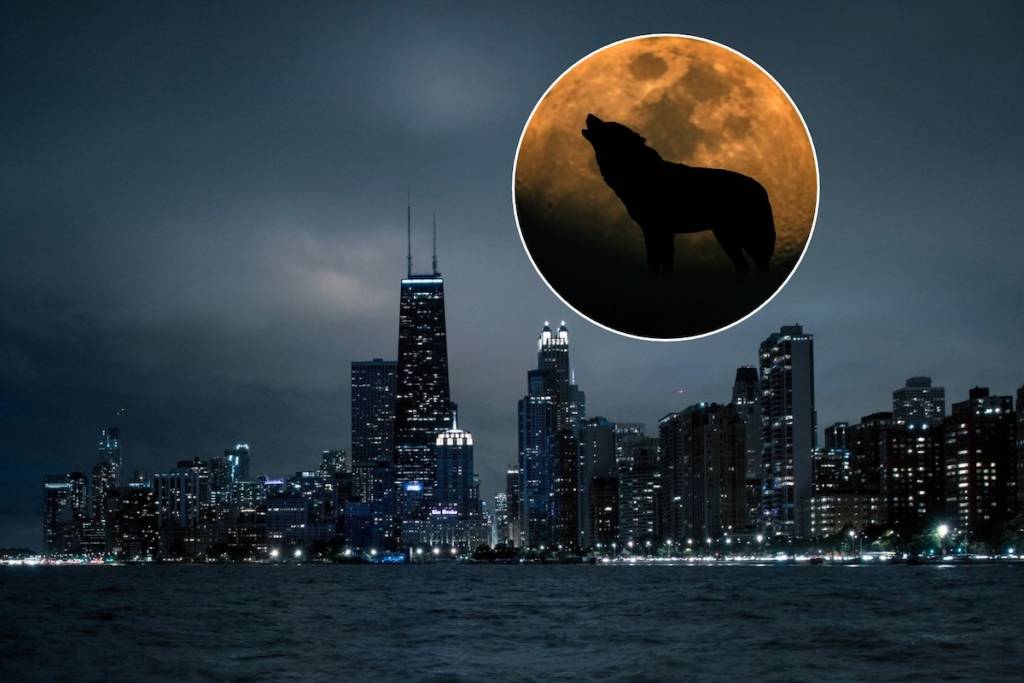 Hunter's Moon