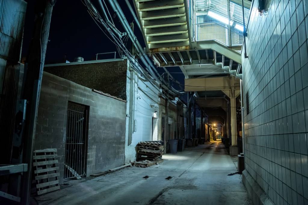 Rats in an alley in Chicago