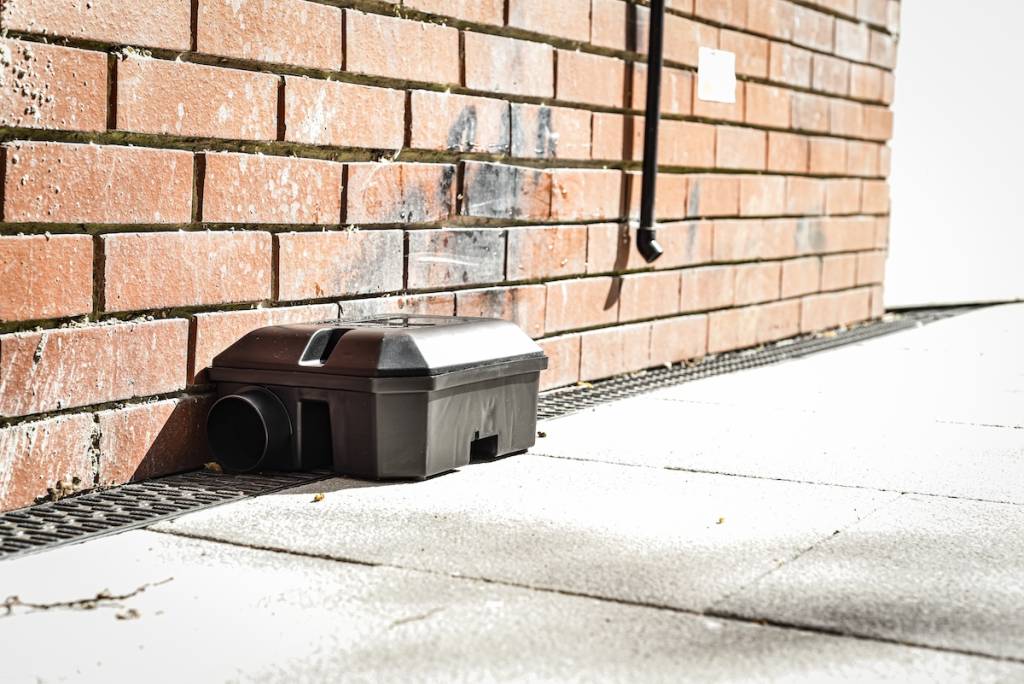 Rodent bait box in Chicago
