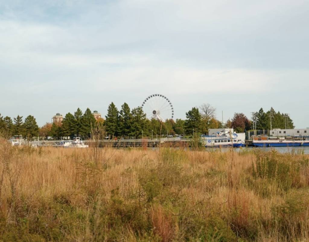 View from DuSable Park