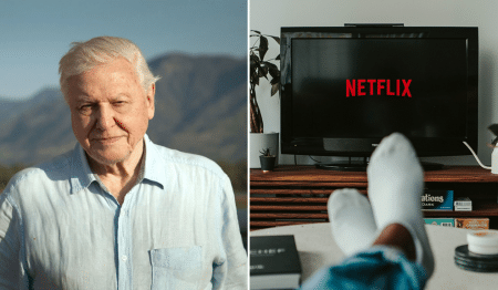 Watching David Attenborough Documentaries Can Reduce Stress, Study Shows