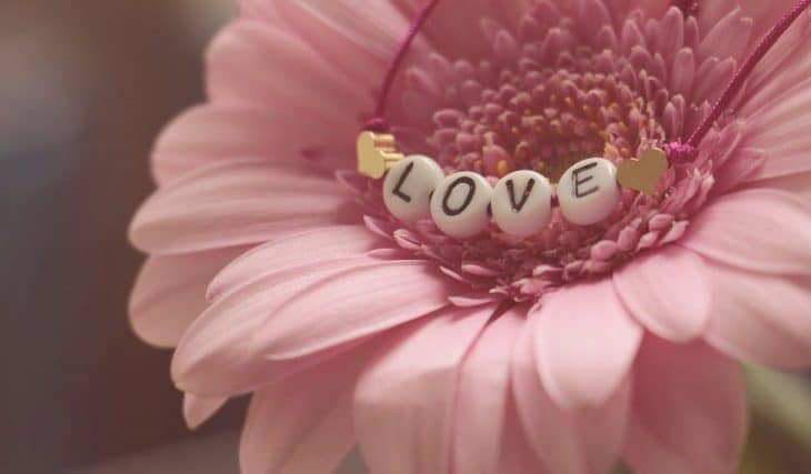 5 Ways To Celebrate Mother’s Day In Christchurch This Year