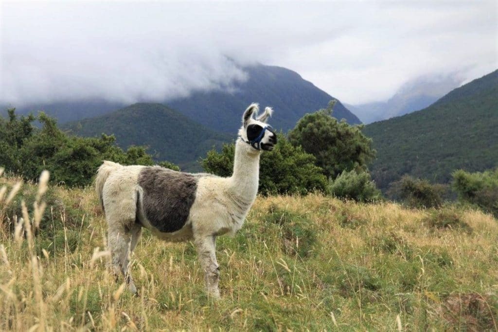 Secret Christchurch’s Guide To An Epic Weekend In Hanmer Springs
