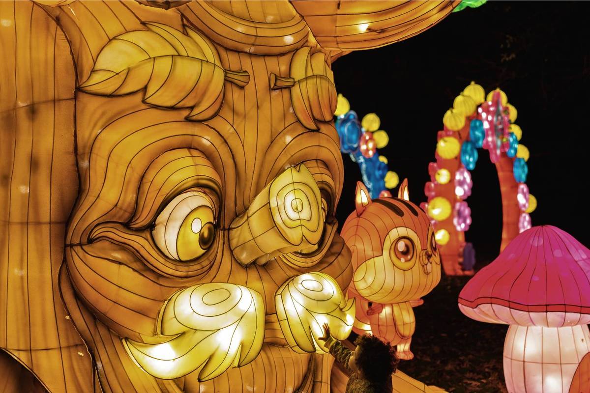 Autumn Glow Festival