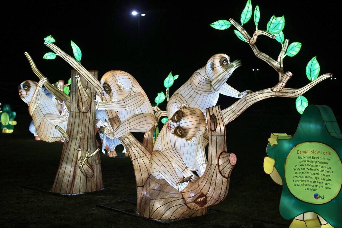 Autumn Glow Festival