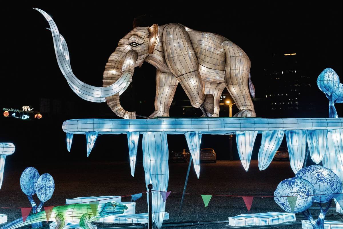 Autumn Glow Festival