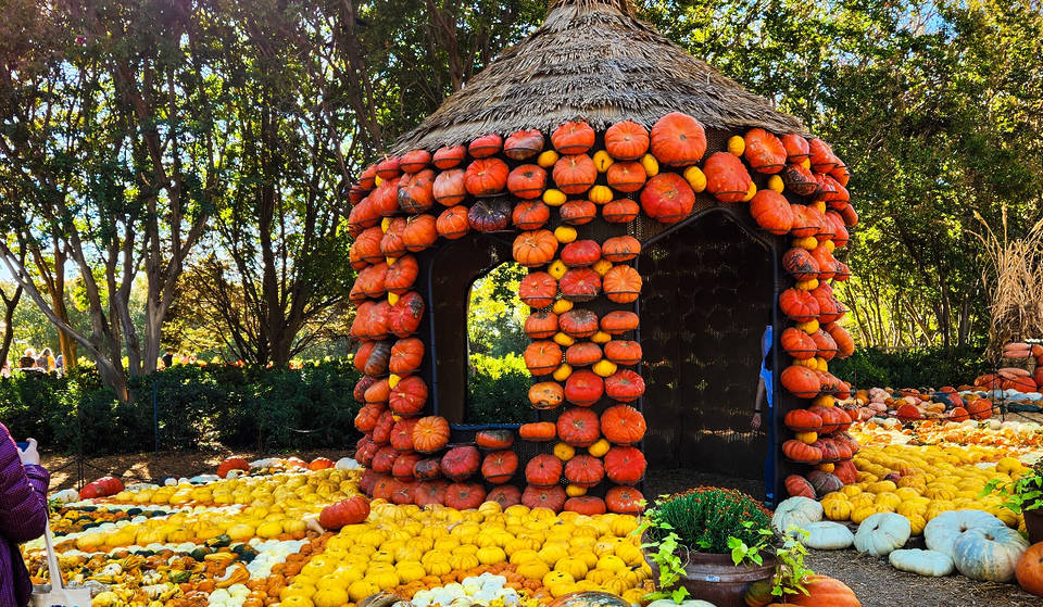 Autumn At The Arboretum Returns To Dallas With Fantastic Fall Fun