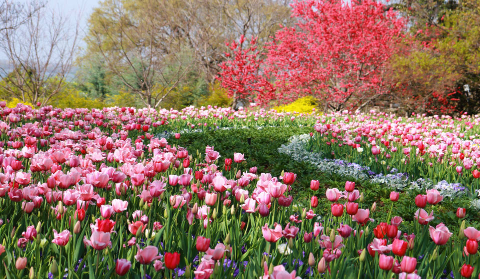 17 Fabulous Things To Do This February In Dallas