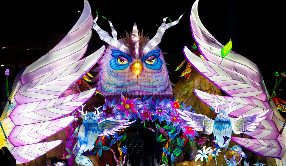 Massive New Winter Lantern Festival Opens In Dallas Area This Weekend