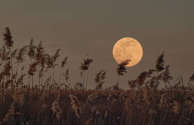 Super Harvest Moon And Partial Eclipse: When To See In Dallas