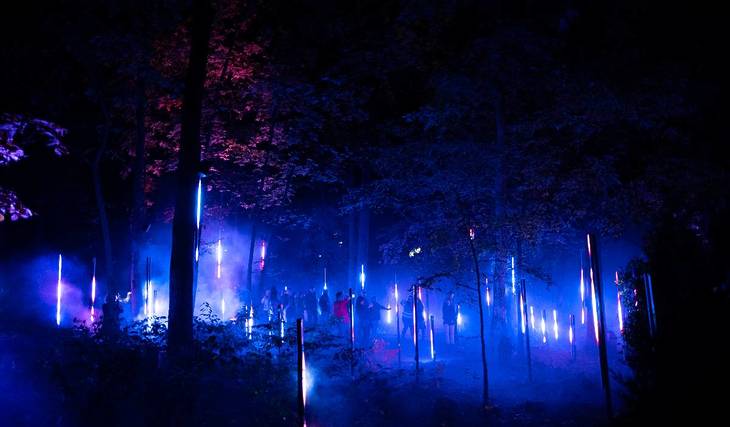 Astra Lumina’s Cosmic Night Walk Is Now Open At Trinity Forest Adventure Park