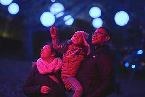 Guests marvel at elaborate light displays