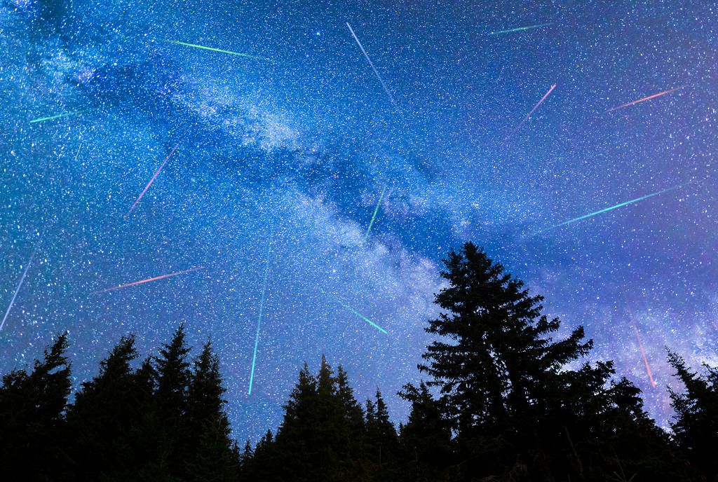 Image shows the Perseids Meteor Shower over a woodland location.
