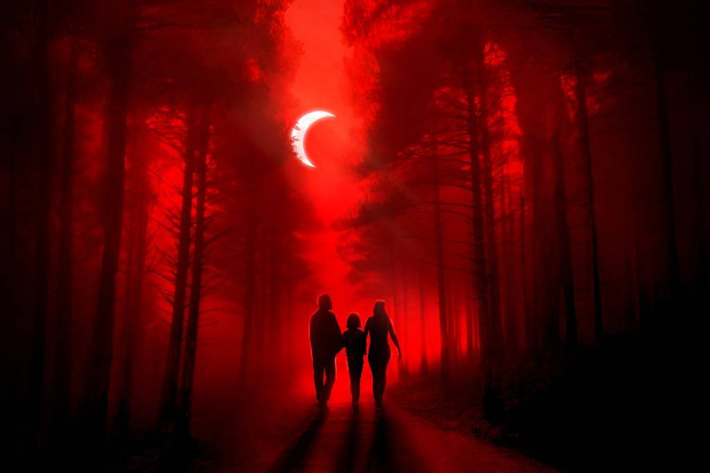 Renderings of Forest of Shadows