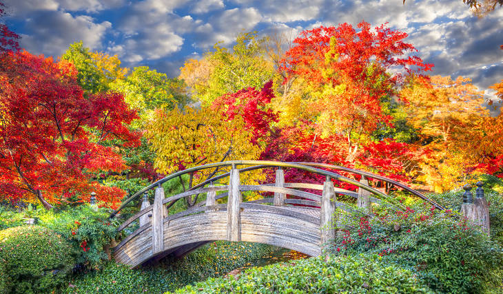 The Old Farmer’s Almanac just released its official 2026 fall weather preview for North Texas