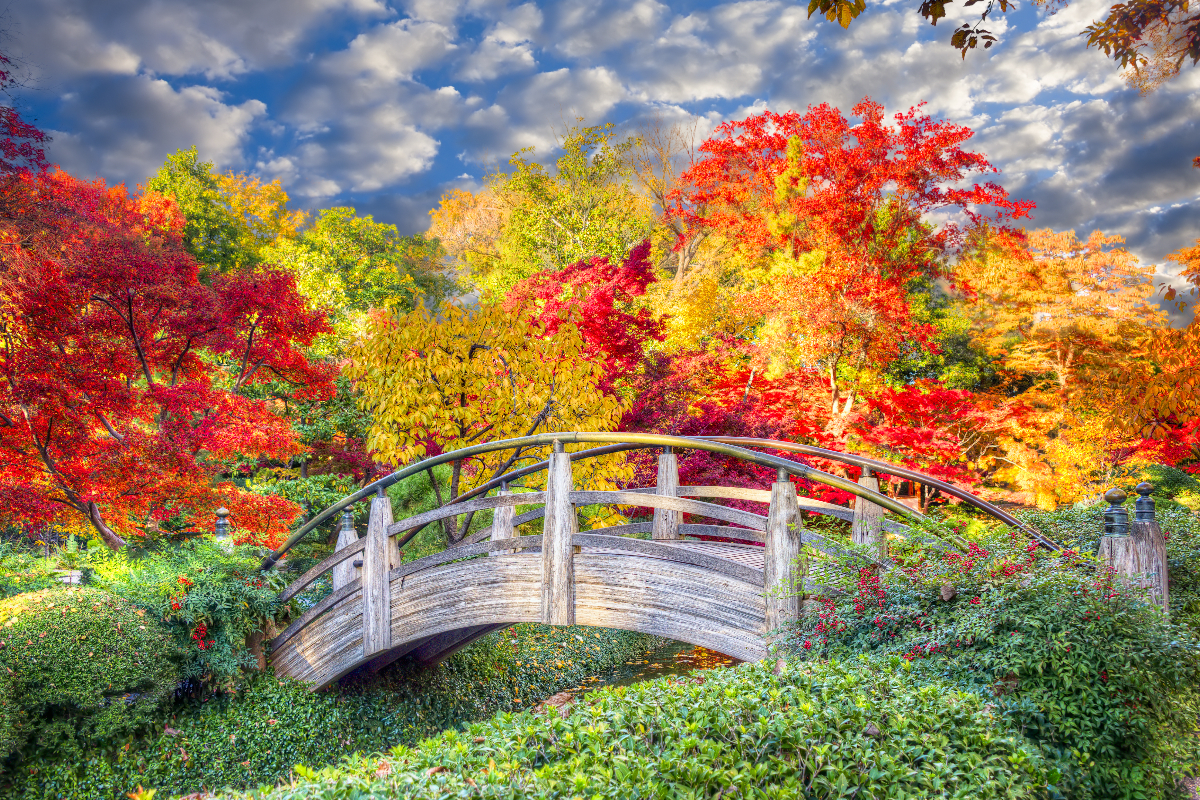 The Old Farmer’s Almanac just released its official 2026 fall weather preview for North Texas