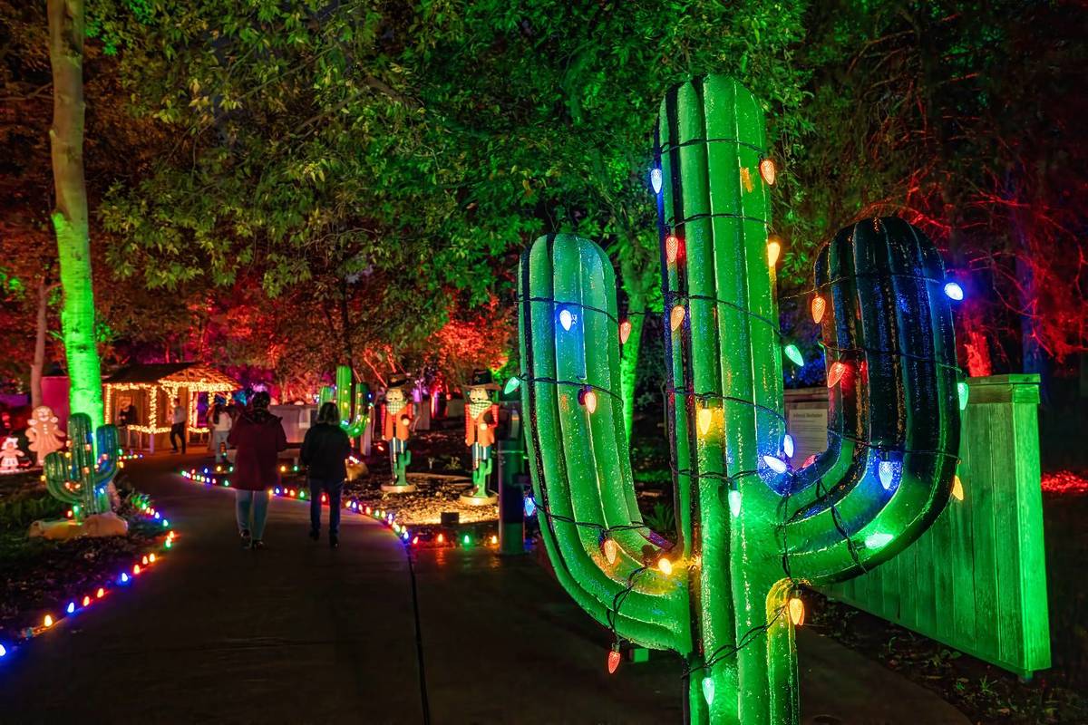 life-sized decorative cactus with festive lights