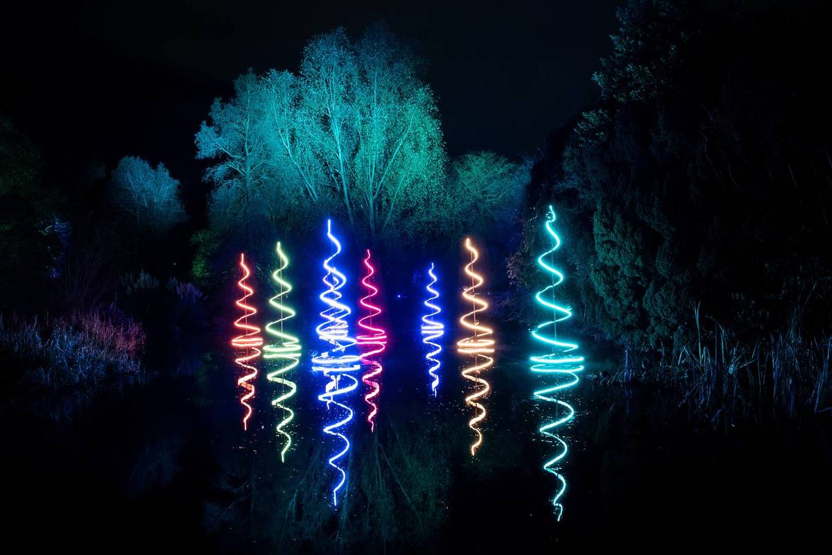 botanic garden holiday installation