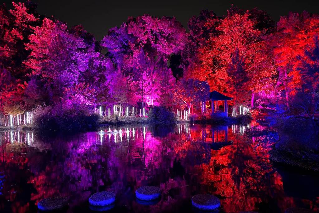 colorful lights reflecting on the water at Christmas in the Garden