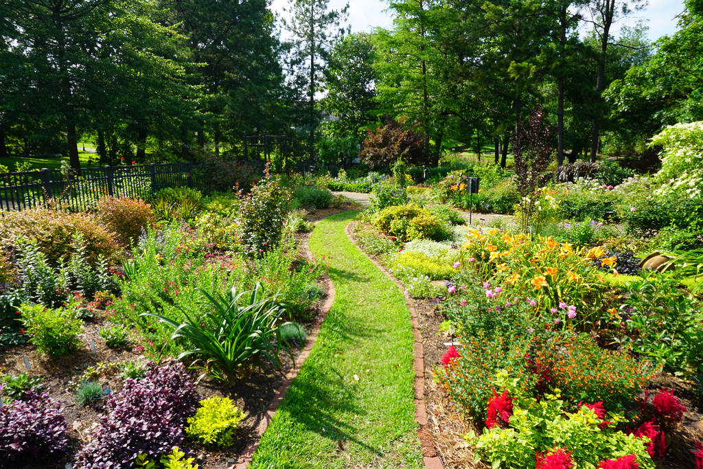 Image shows a walkway through the Tyler Municipal Rose Garden during blooming season.
