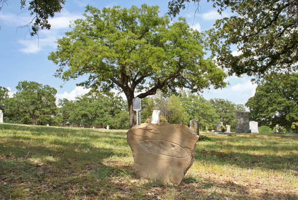 Image shows a grave marker for Ned, the alien at Aurora Cemetery.