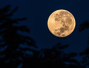 This Year&#8217;s Closest Supermoon To Appear Big And Bright In Texas Skies This Week